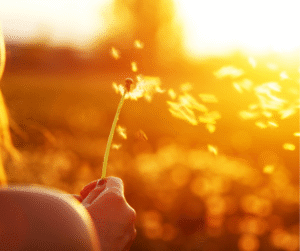 Scopri di più sull'articolo Lasciare andare – Percorso di 6 incontri